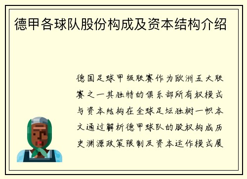 德甲各球队股份构成及资本结构介绍
